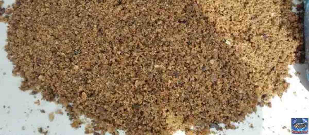 Diamond Balu Pic-08
